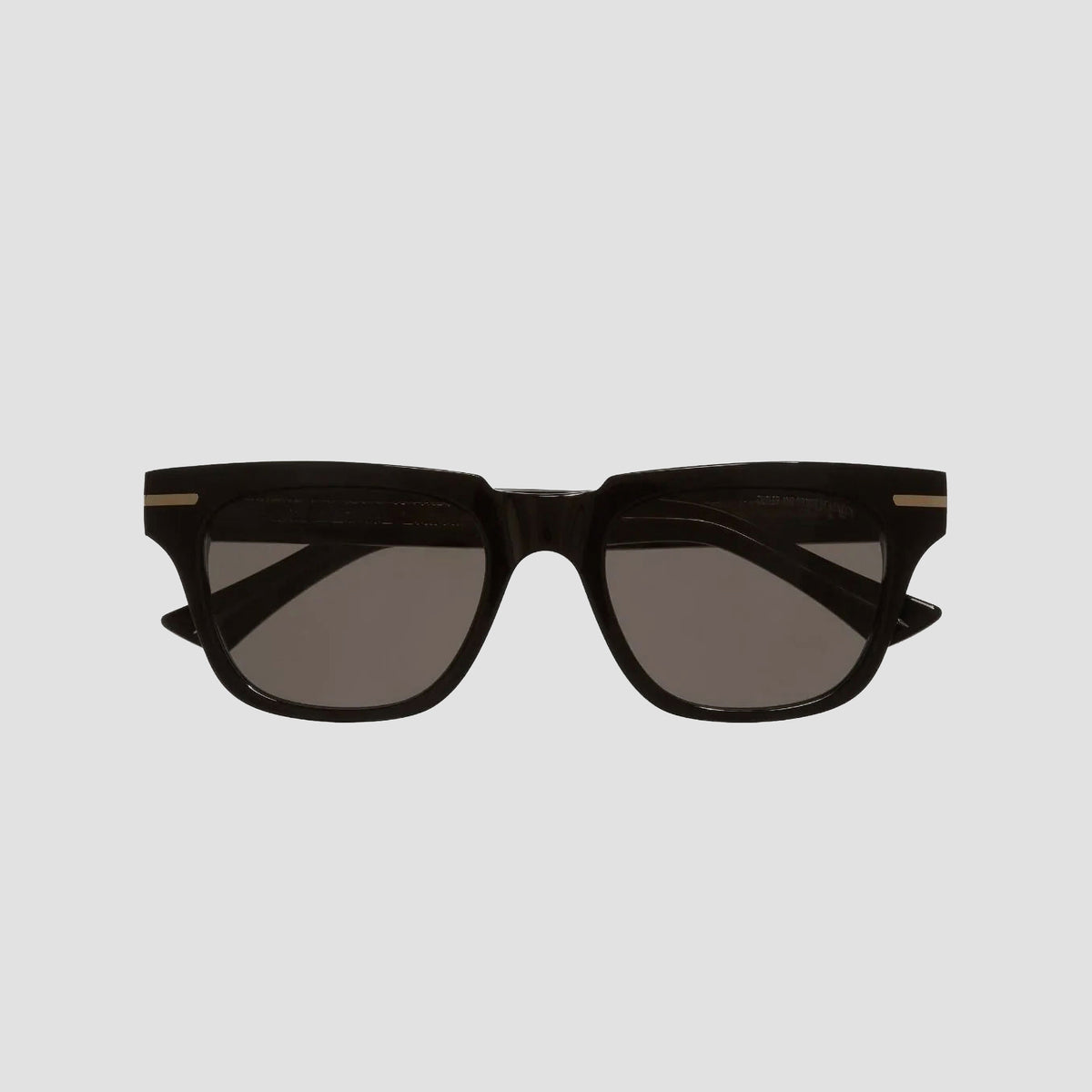 1355 D Frame Sunglasses