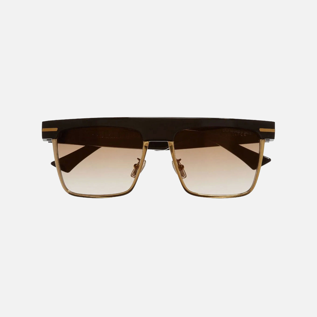 1359 D Frame Sunglasses
