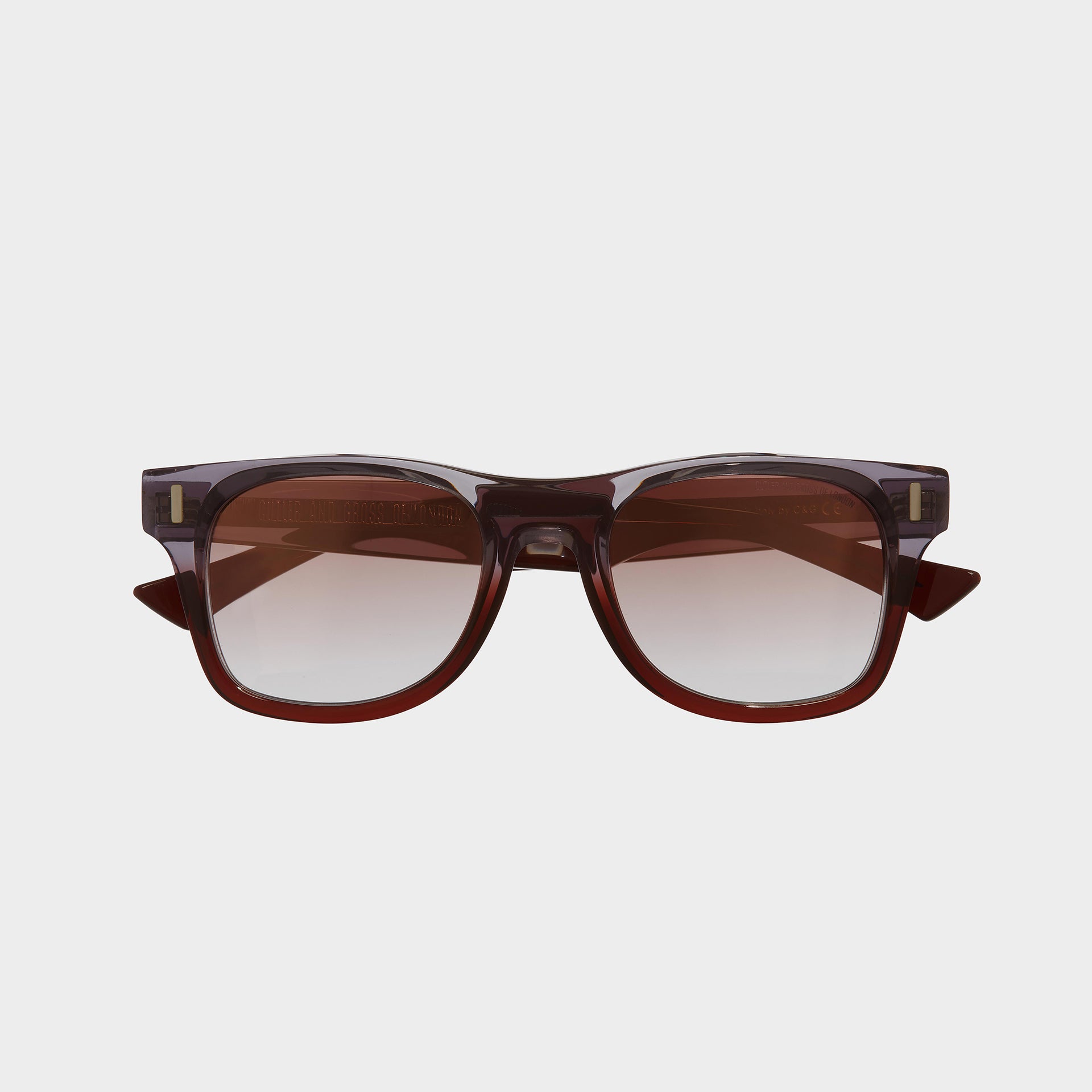 1339 D Frame Sunglasses
