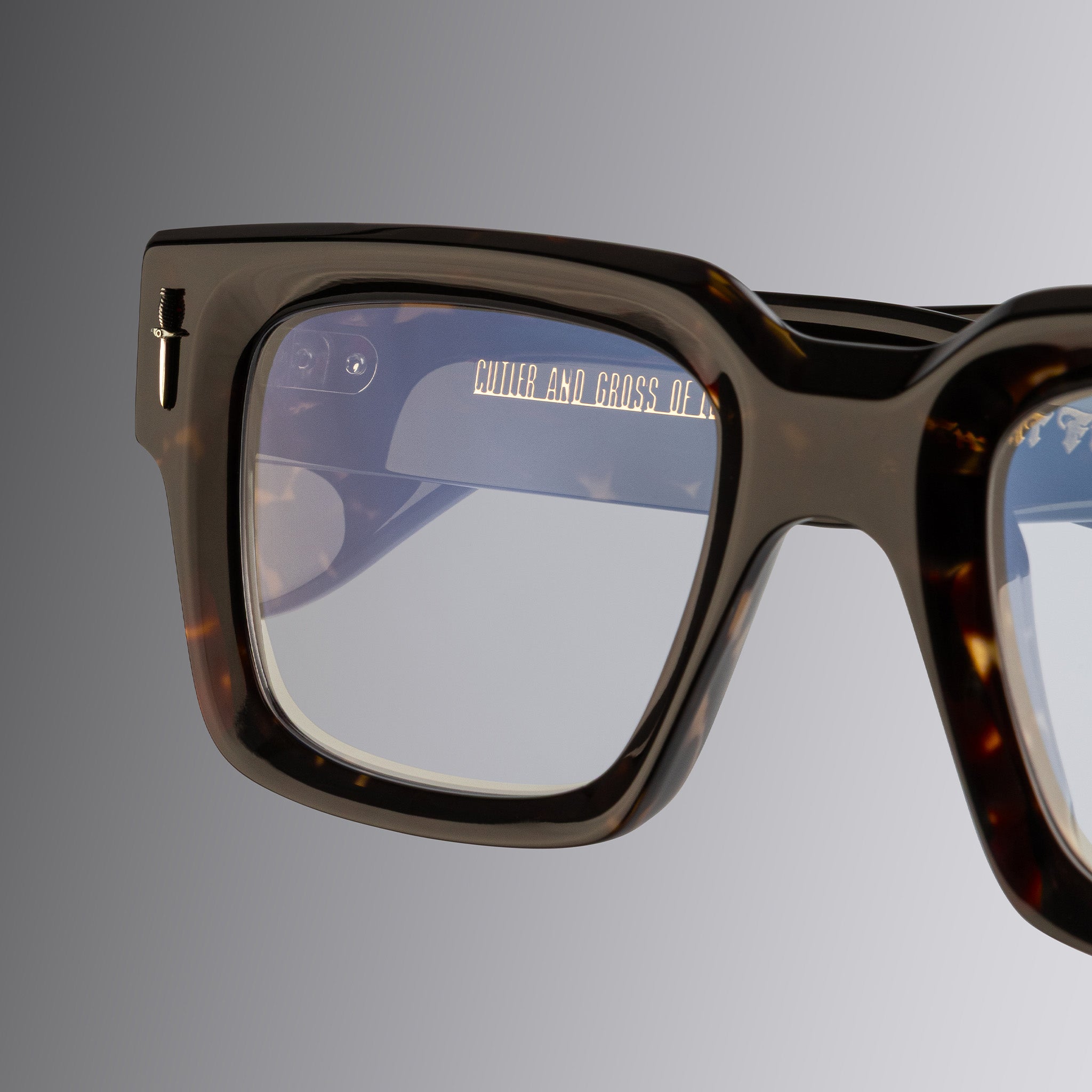 The Great Frog Titan Square Optical Glasses| Cutler and Gross