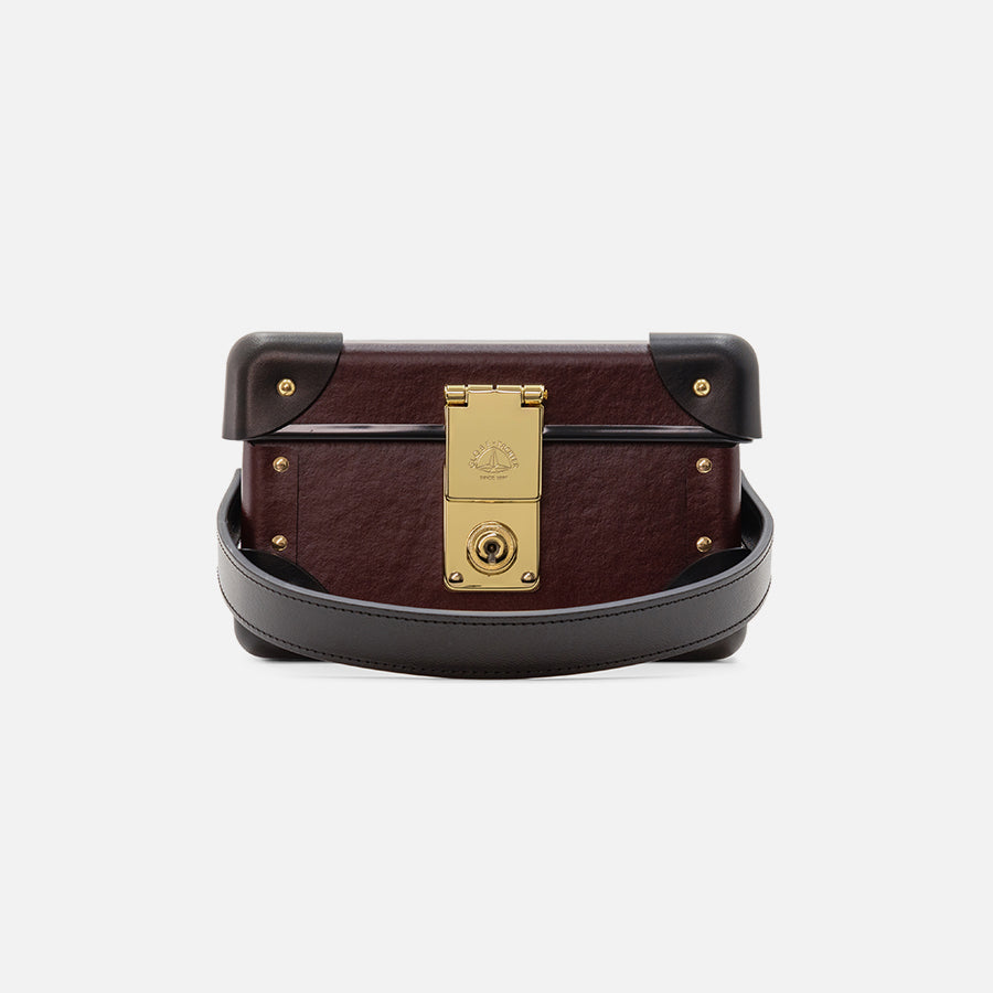 Globe Trotter Collectors Case