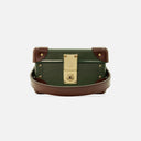 Globe-Trotter Collectors Case