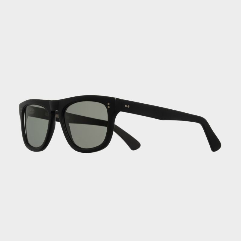 1166 D Frame Sunglasses