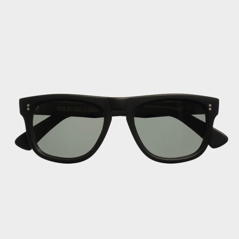 1166 D Frame Sunglasses