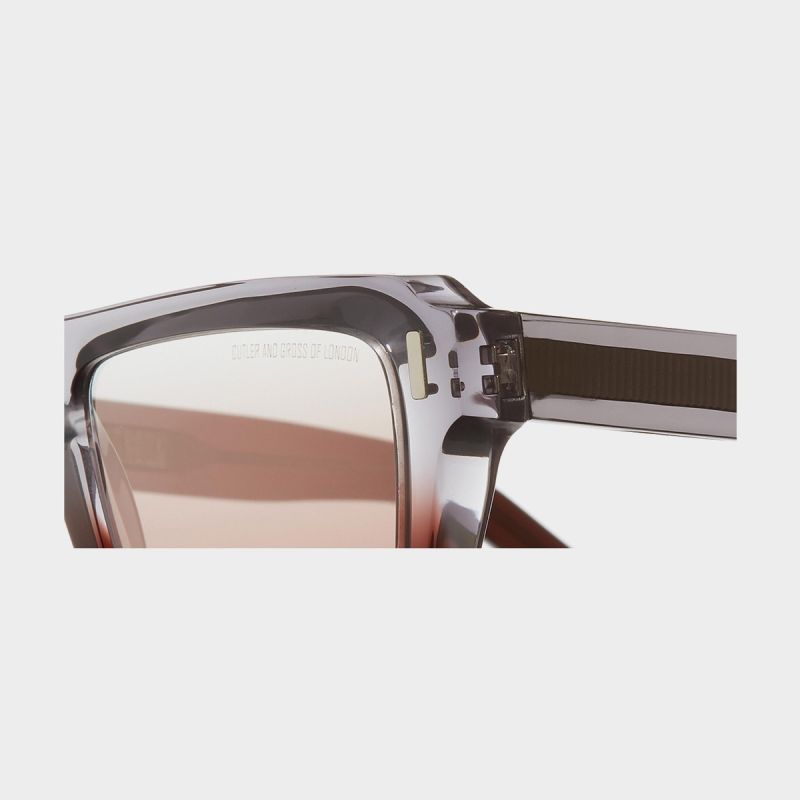 1318 D Frame Sunglasses