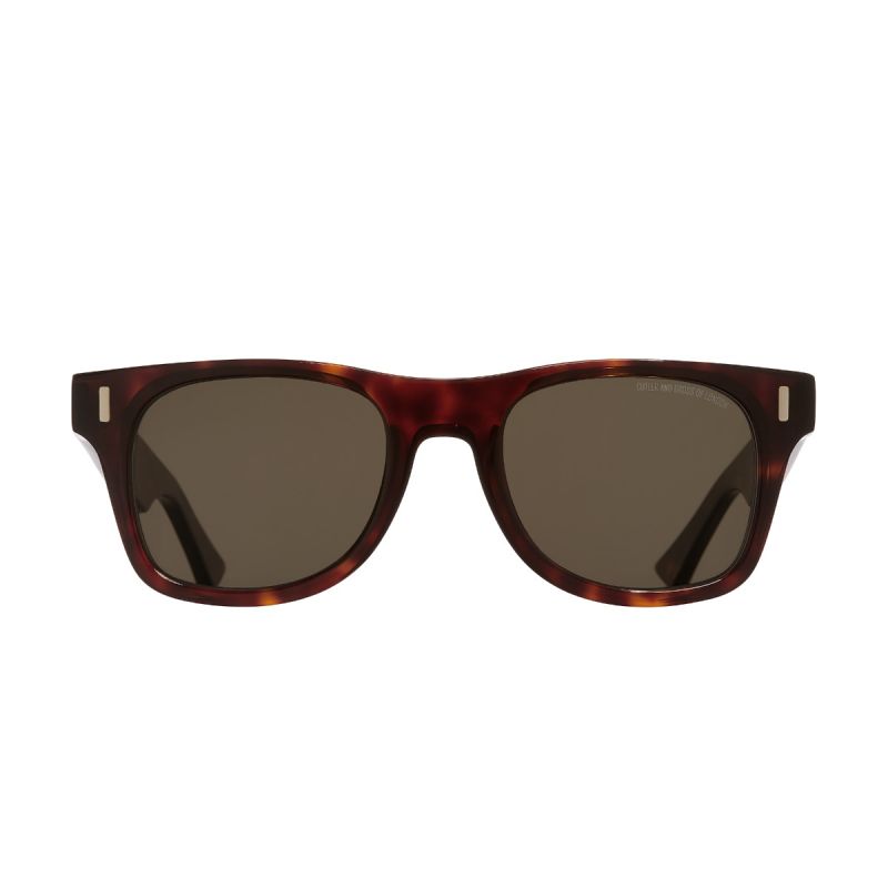 1339 D-Frame Sunglasses-Dark Turtle