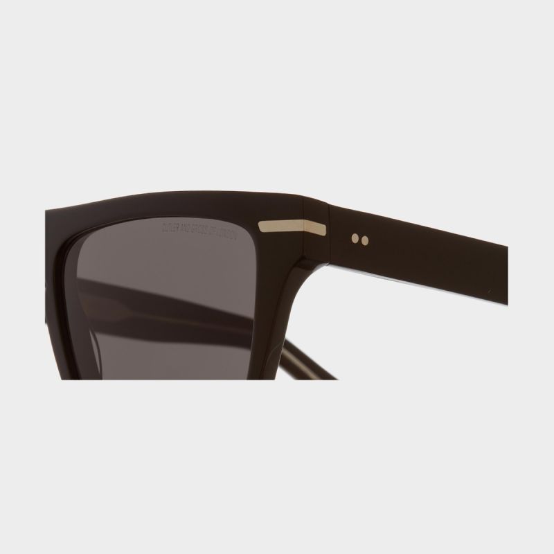 1357 D Frame Sunglasses