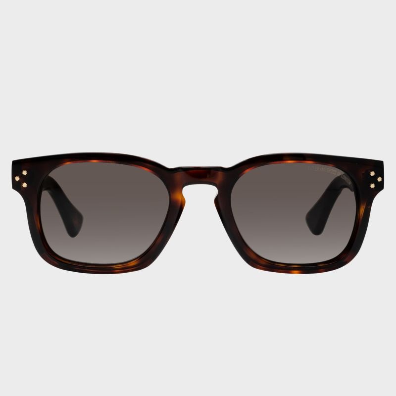 9768 Square Sunglasses-Dark Turtle