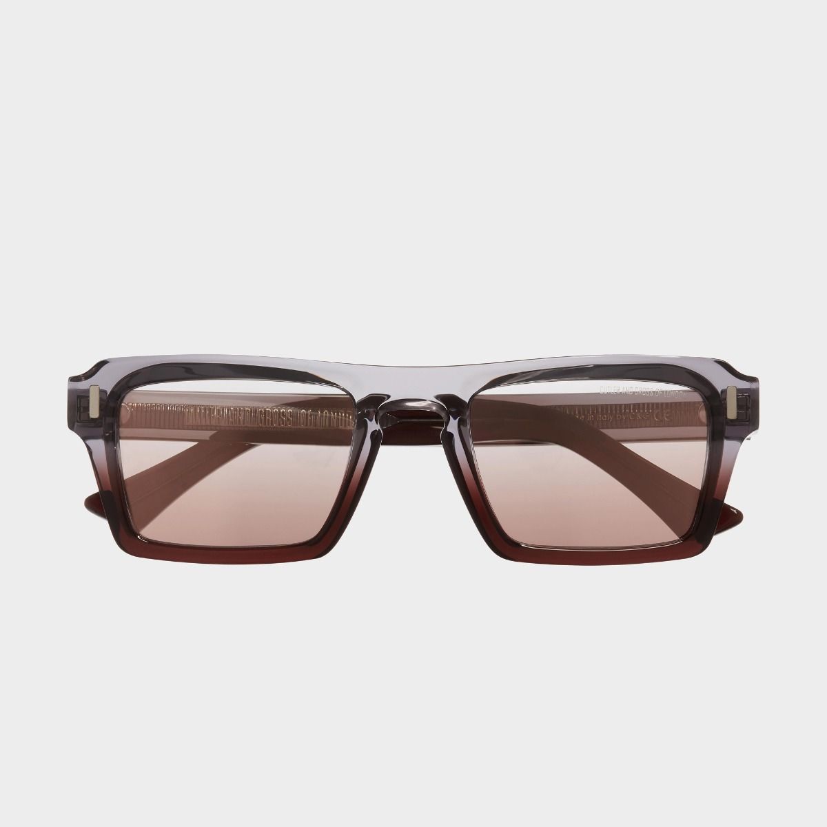 1318 D-Frame Sunglasses