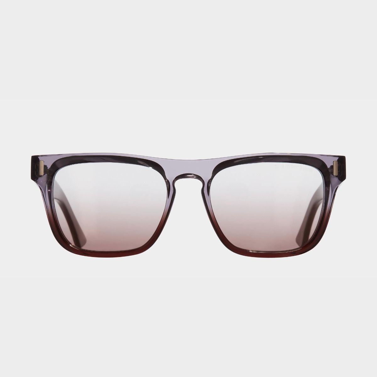1320 D-Frame Sunglasses